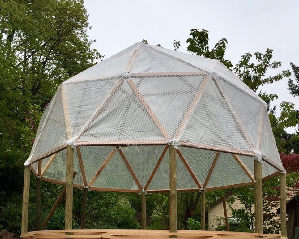 greenhouse 001